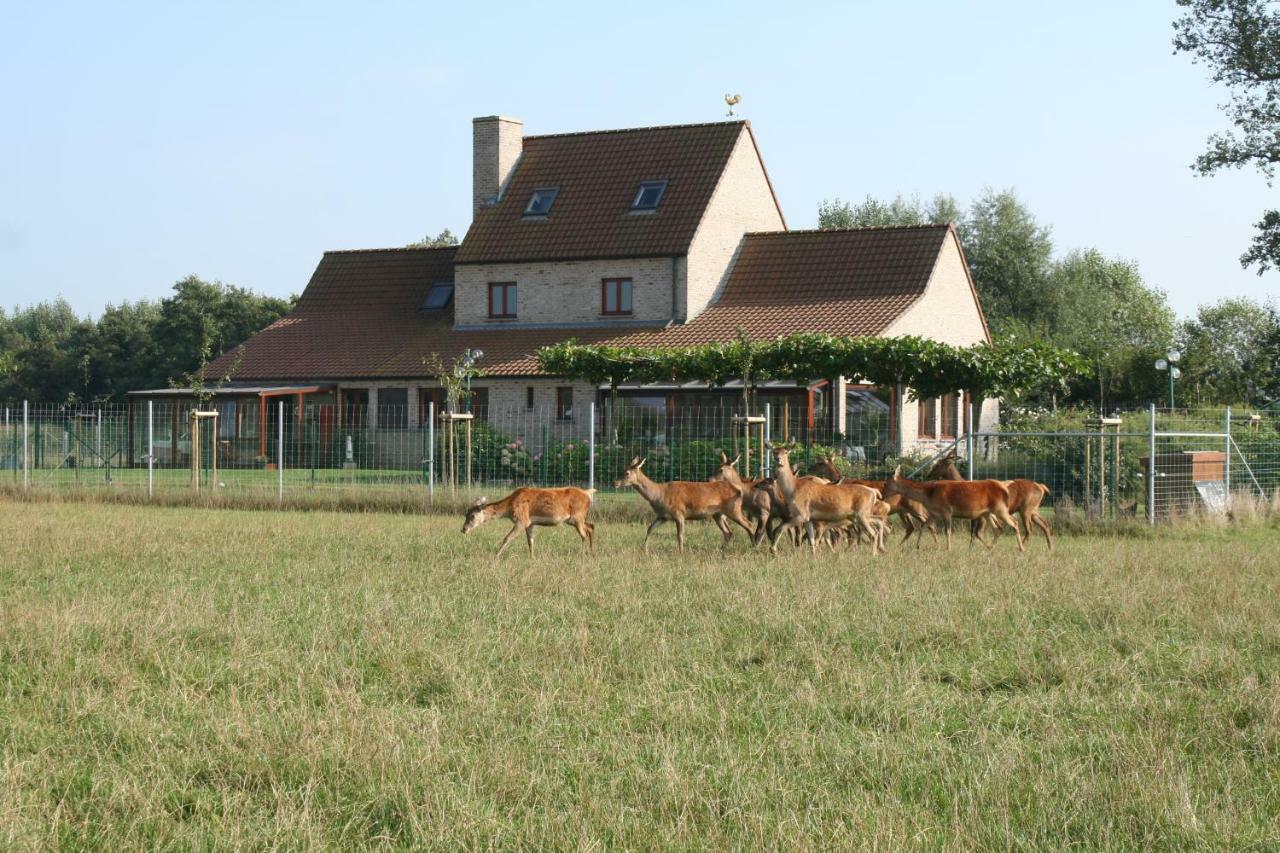 'T Leeg Huys Villa Lo-Reninge Luaran gambar
